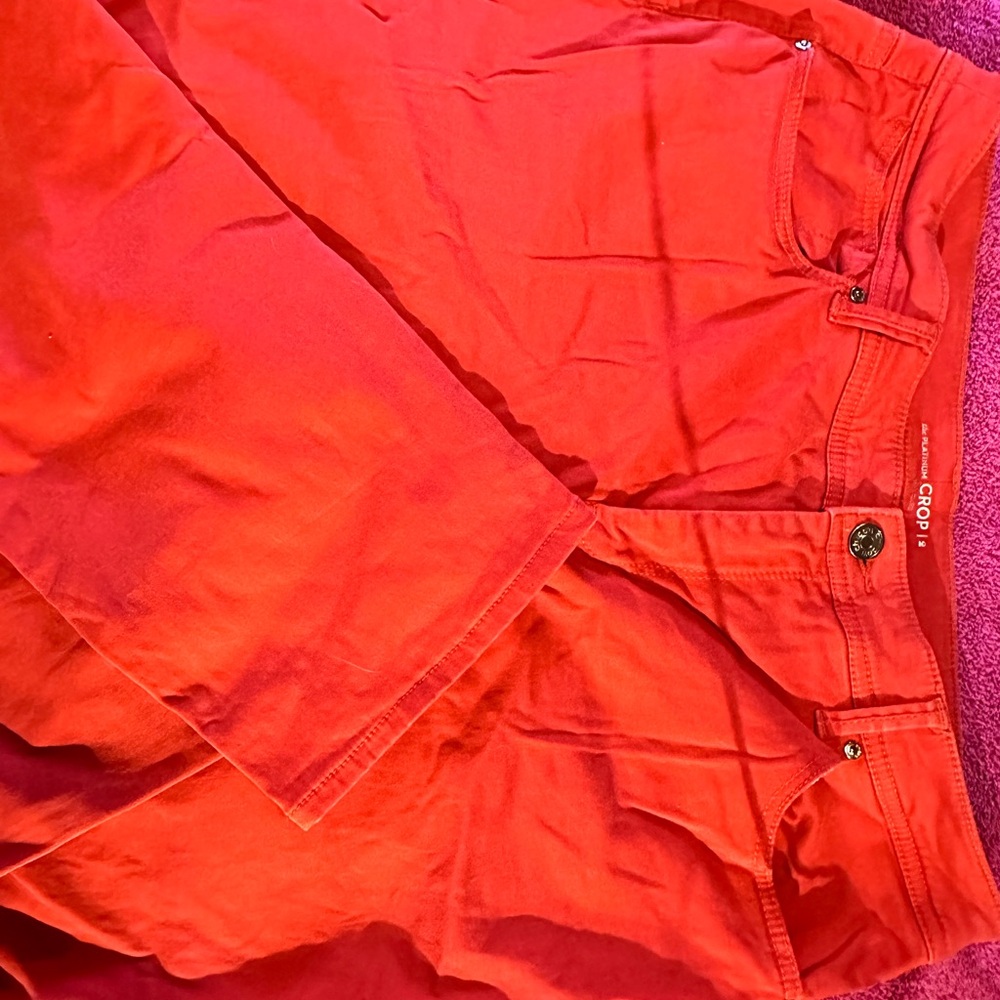 🌺The Platinum Crop by Chico’s